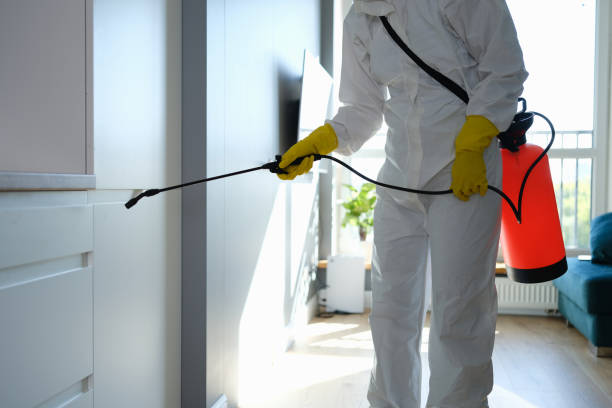 Best Commercial Mold Remediation in Conehatta, MS