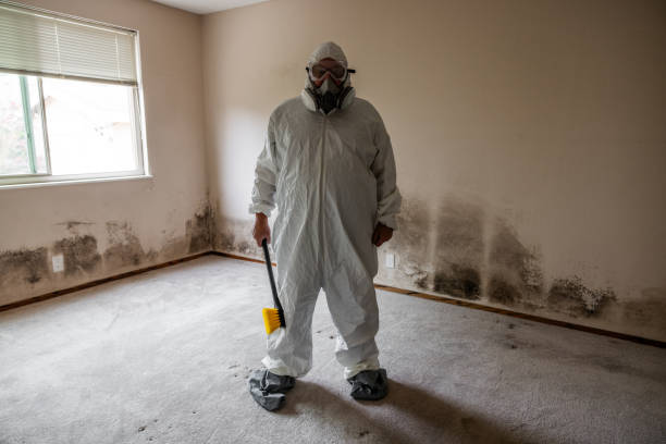 Best Mold Testing and Inspection Services in Conehatta, MS